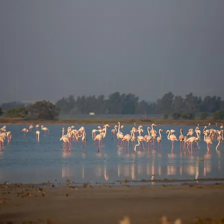 Spyros No23 Charming Oceanview Maisonette Lägenhet *