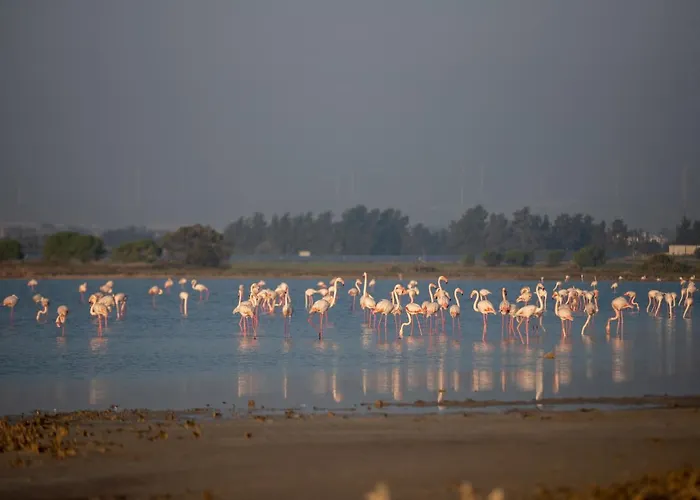 Spyros No23 Charming Oceanview Maisonette Apartment *